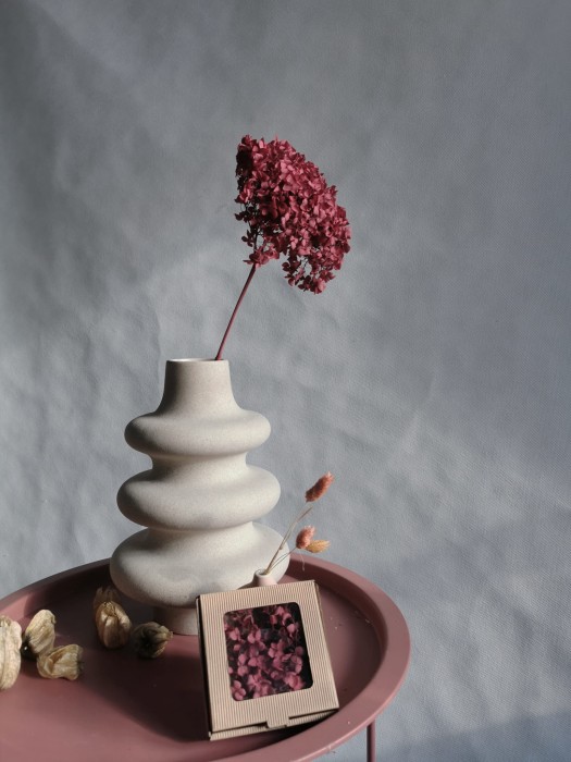 Hortensja stabilizowana różowe bordo - ZESTAW