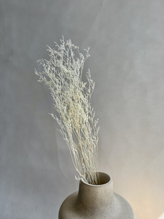 Limonium stabilizowane białe