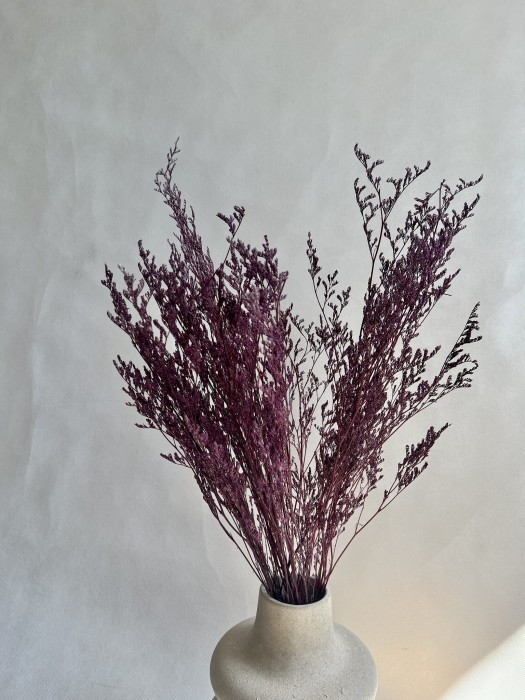 Limonium stabilizowane fioletowe