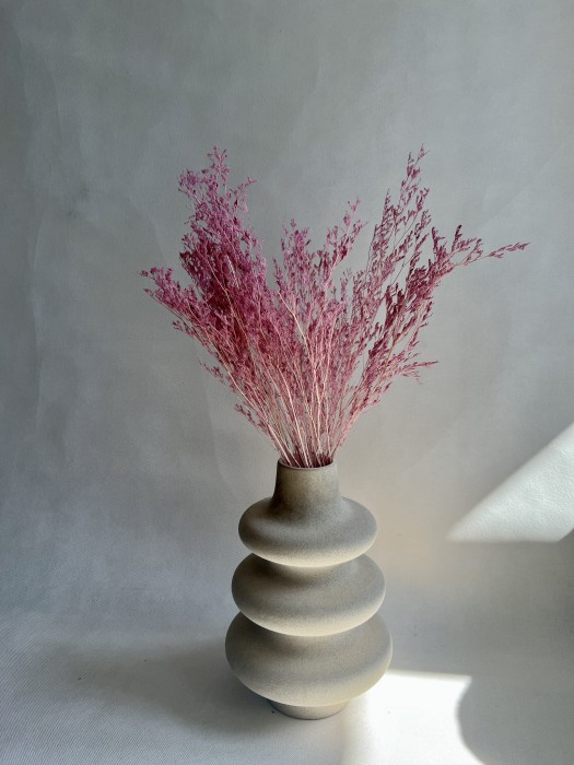 Limonium stabilizowane lila-róż