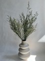 Limonium stabilizowane zielone