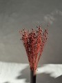 IMG_7427.jpeg