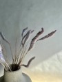IMG_7269.jpeg