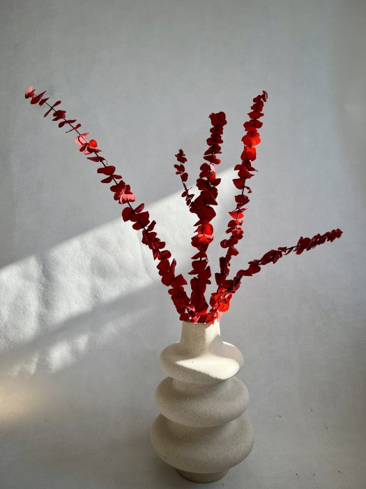 Eukaliptus Baby Blue stabilizowany Czerwony