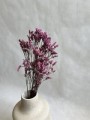 Limonium pełne stabilizowane liliowe /bukiet