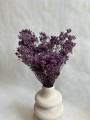Limonium pełne stabilizowane fioletowe /bukiet