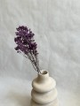 Limonium pełne stabilizowane fioletowe /bukiet