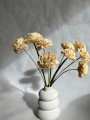 Kwiat shola - Dalia kremowa 8cm
