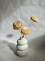 Kwiat shola - Dalia kremowa 8cm