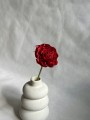 Kwiat shola - Dalia czerwona 8cm