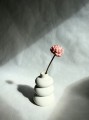 Kwiat shola - Chryzantema różowa 6cm