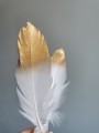 Piórka gęsie białe pozłacane