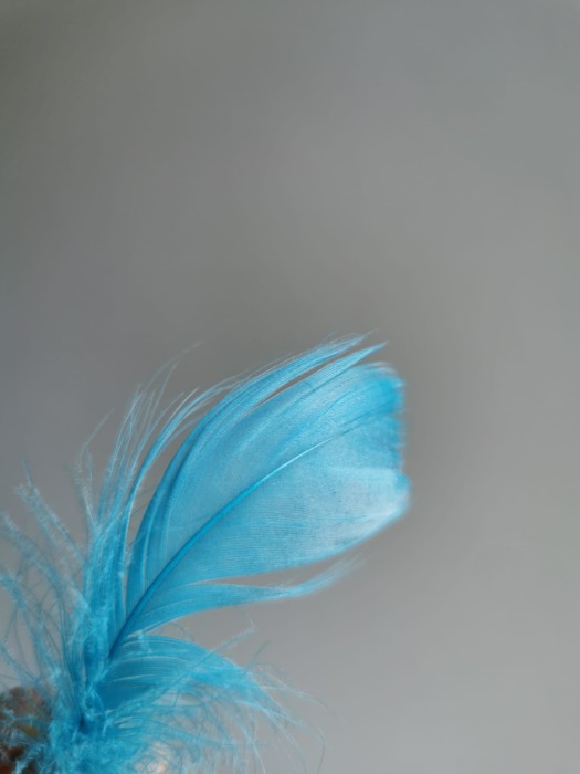 Piórka drobne turkusowe