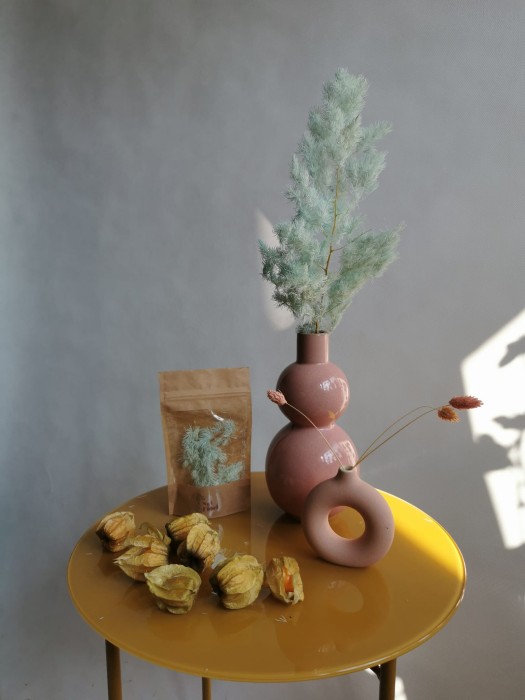 Asparagus miętowy stabilizowany - zestaw